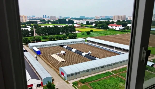 余江县鹏鹏电子商务有限公司介绍品牌代理在批发零售中的应用
